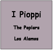 Casella di testo: I Pioppi
The Poplars 
Los Alamos
